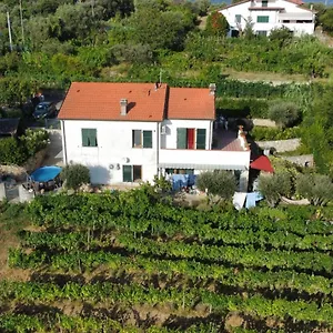 Bed & Breakfast In Vino Veritas